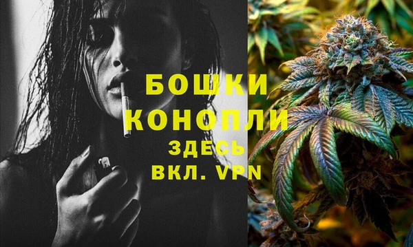 spice Баксан