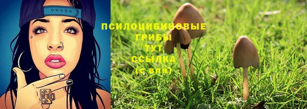 дживик Балабаново