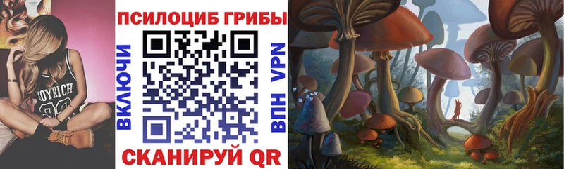 KRAKEN ссылки  Гатчина  Псилоцибиновые грибы MAGIC MUSHROOMS 